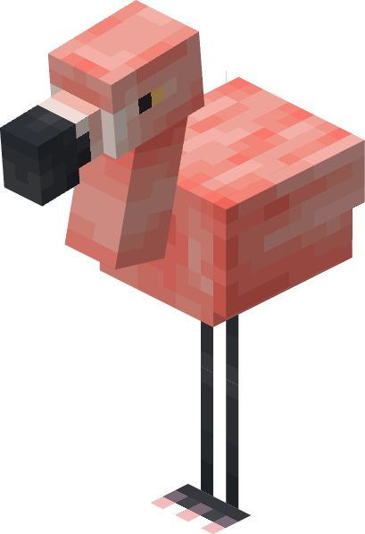 flamingo