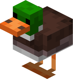duck