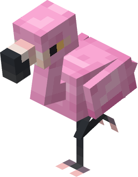 flamingo