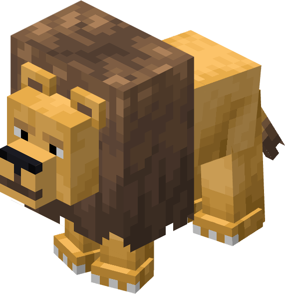 lion