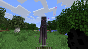 Enderman on 1.6.1