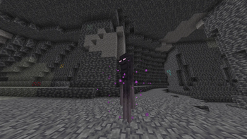 Enderman