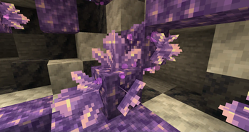 How the particles look