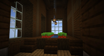 2x1 plot room with yummy beetroot