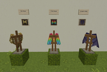 Elytra Designs