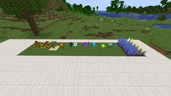 Different flowers