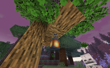 lantern of holiness