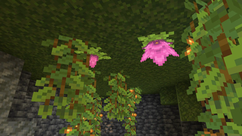 Natural age 0 and age 2 spore blossoms resting on the ceiling of a lush cave.