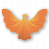 CustomWings
