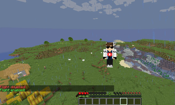 /fly command in survival