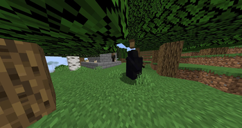 A zealot calls his flock