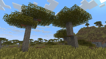 Old Textures