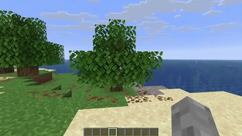 video of quickly decaying leaves