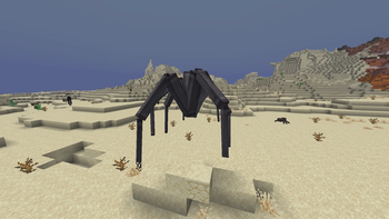 spider
