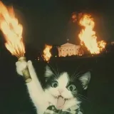 frsh