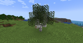 Custom Birch tree