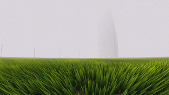 The Infinite Field (Level 4)