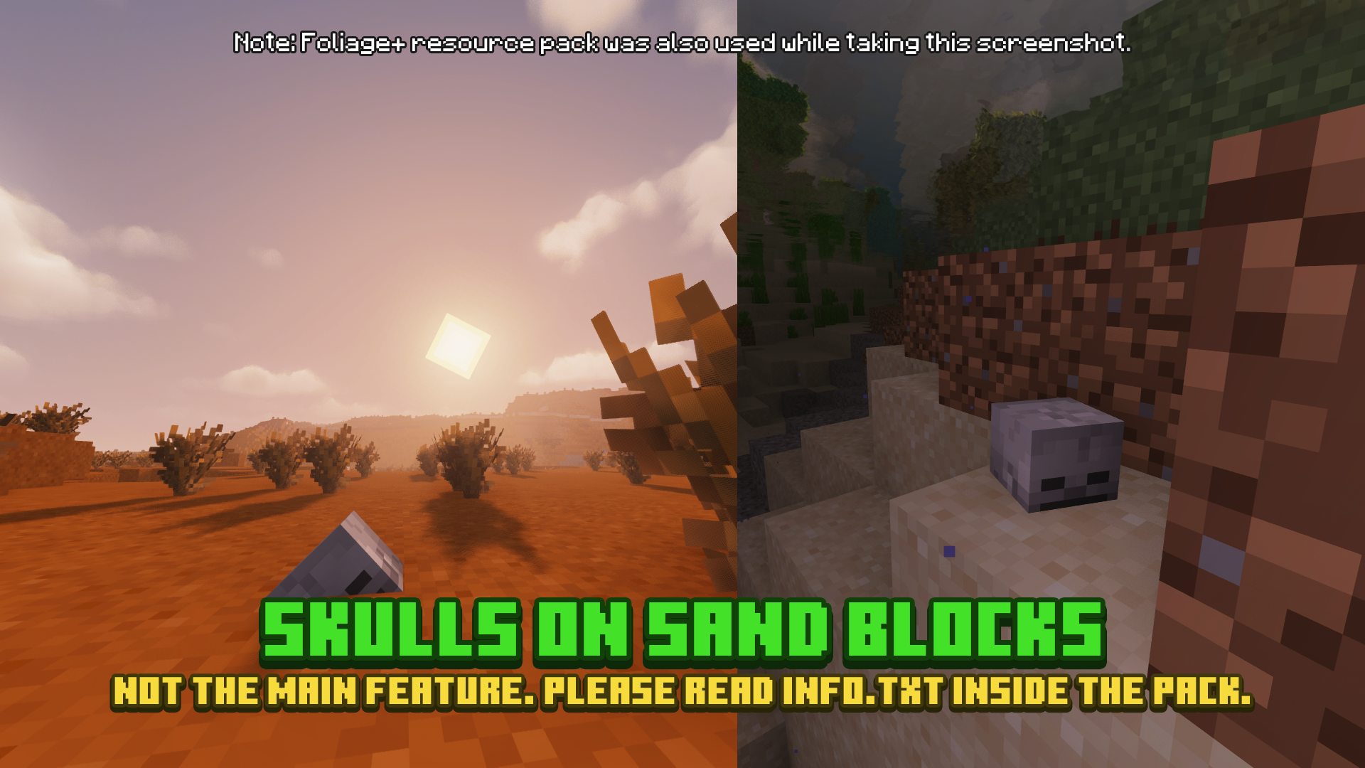 Skulls on Sand Blocks