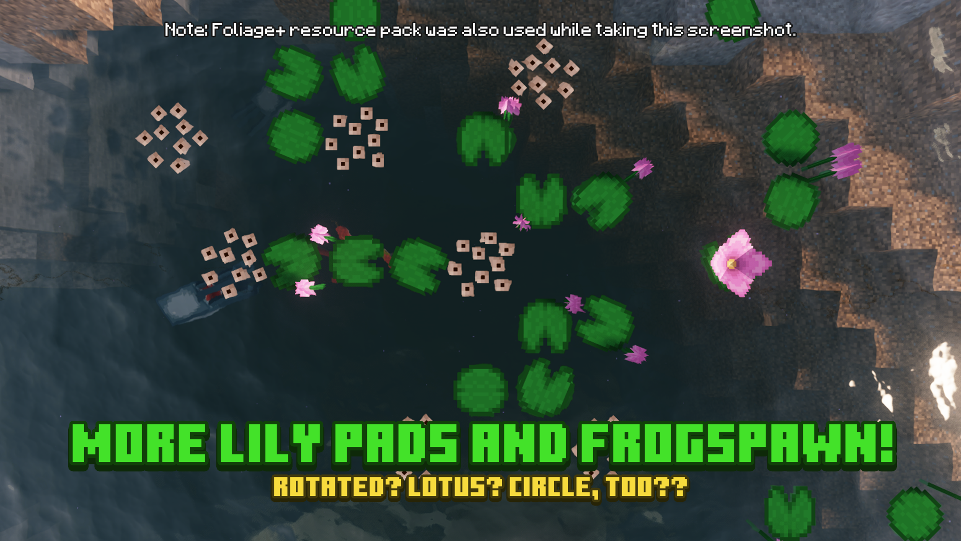 More Lily Pads and Frogspawn!