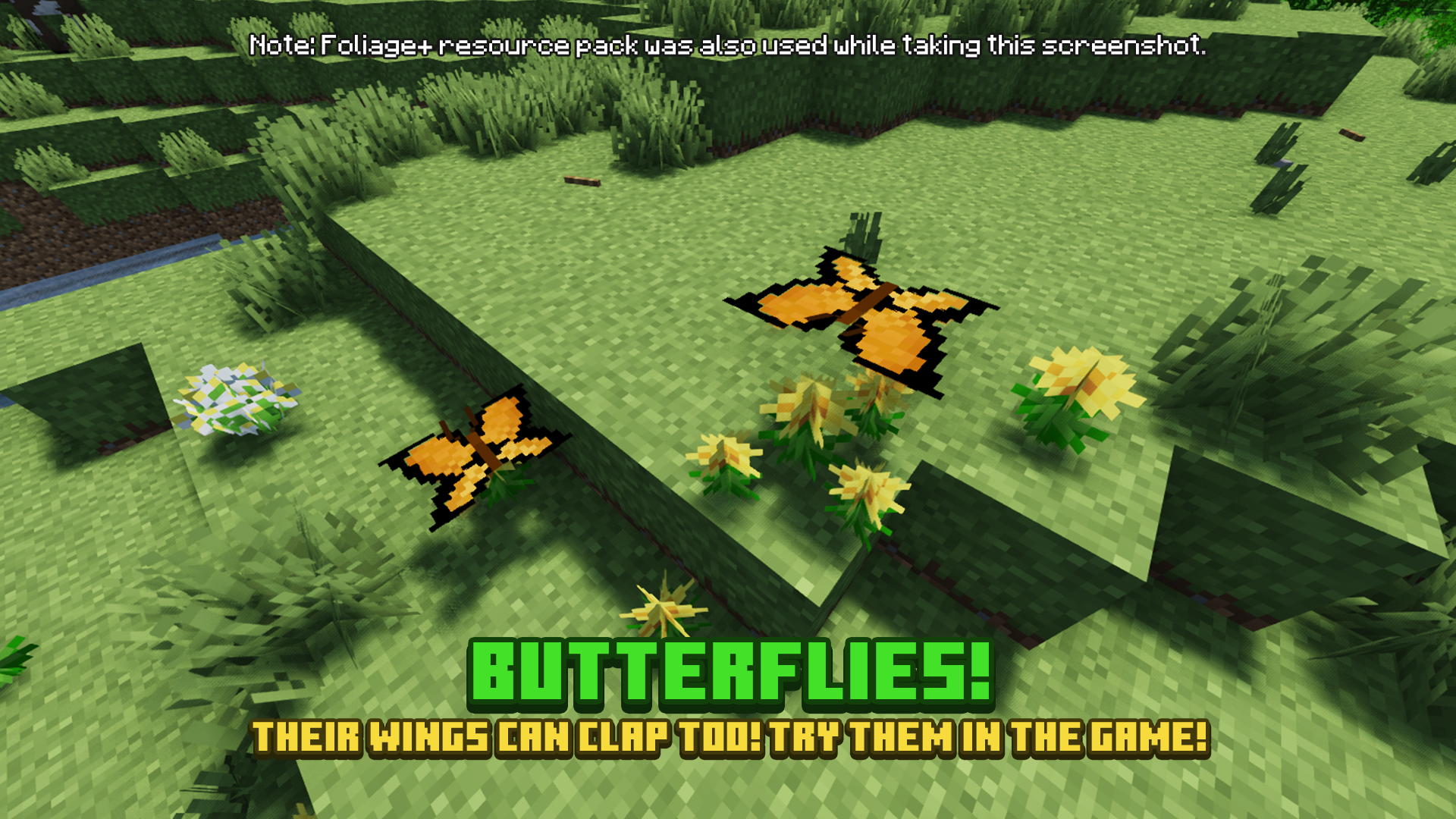 Butterflies!