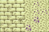 Variated Better End Stones