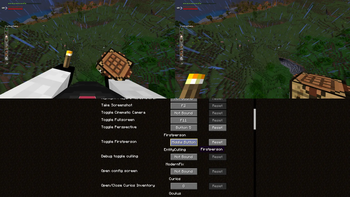 Toggleable player model!