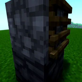 3D ladder