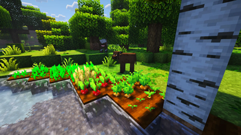 3D Crops and Cows
