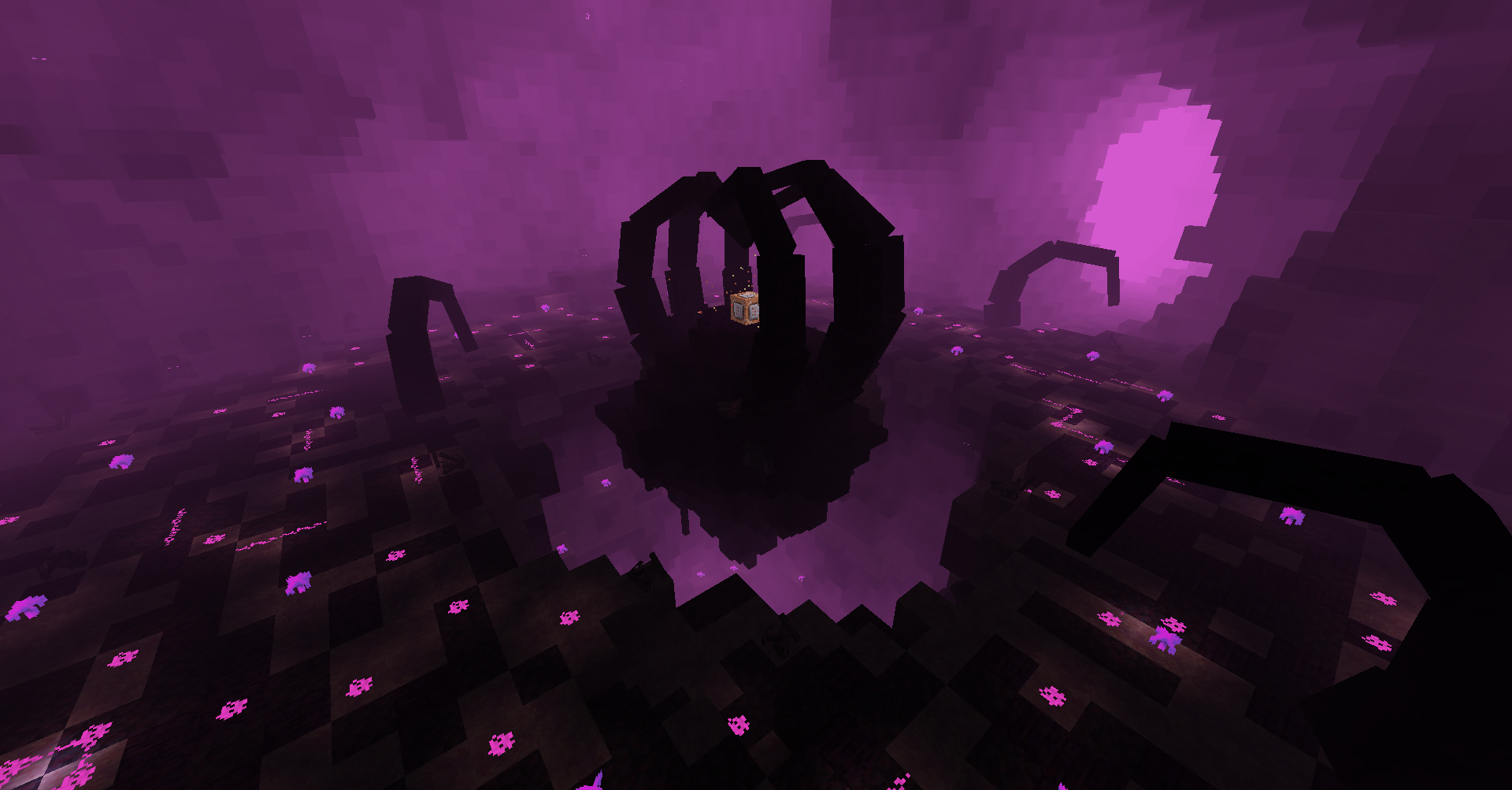 Inside the Wither Storm