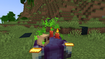 Timothaty's Trinkets — screenshot 4