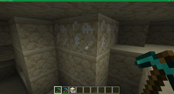 Fossil deposit in sandstone