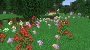 flower forest