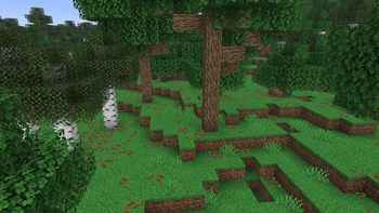 forest