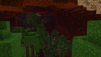 warped forest