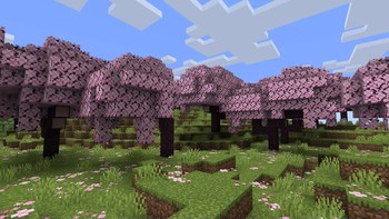 Cherry Grove with resourcepack