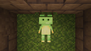 Froggy sleeping