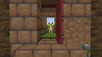Froggy and his house