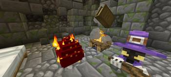 Companions and dragon egg
