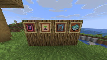 Packs and Binder