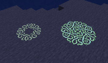 Circles at night