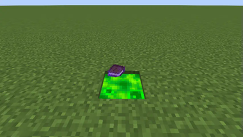 Acid Protection (Item)