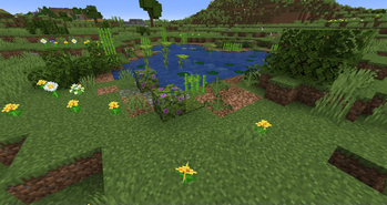 Pond