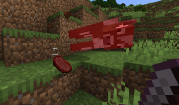 Cow Turning Into Meat