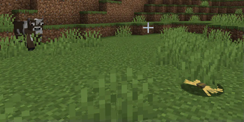 Cow Going To Wheat