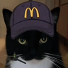 Icon for FatCat Team's