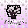Pale Cherry Blossom