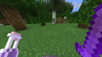 In the forest: