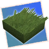 Grassier Grass