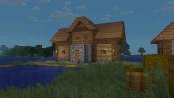 Village house with grass on the foreground