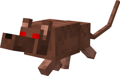 wild rodent